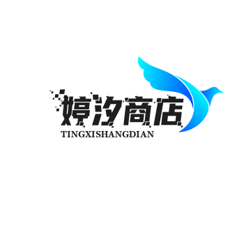 婷汐商店