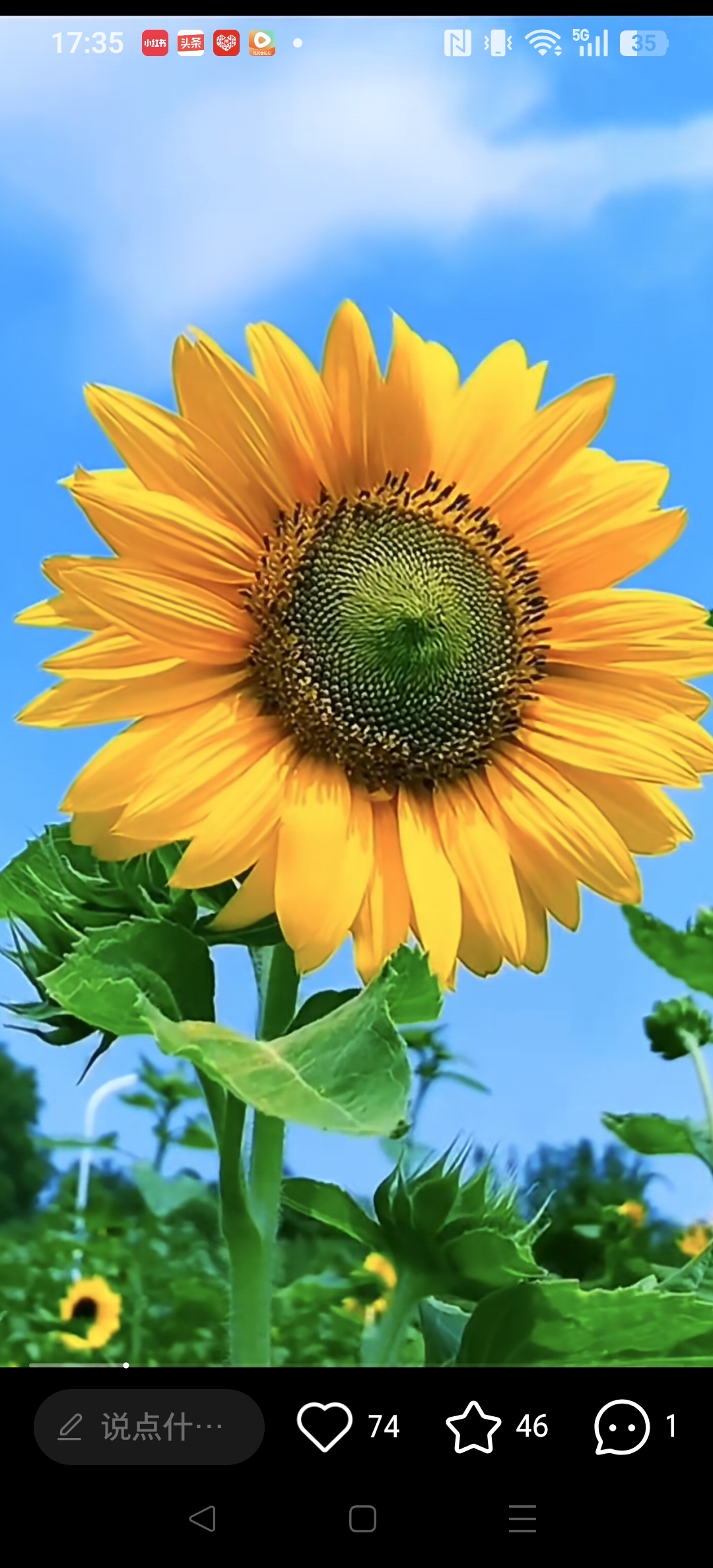 芬芳商贸