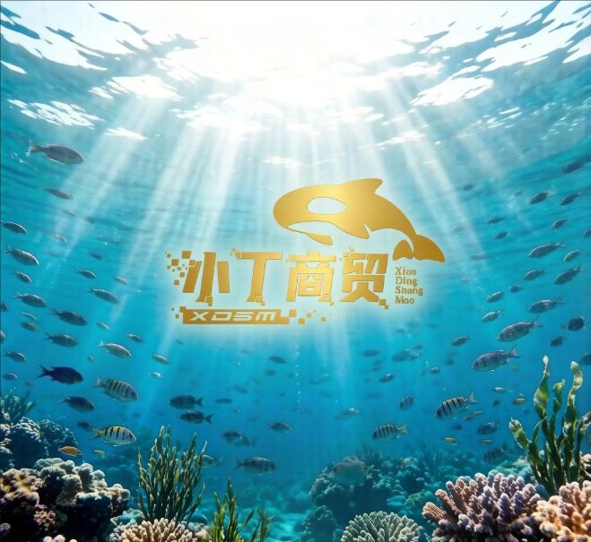 小丁商贸